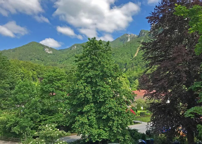 Ciao-aschau Haus Zur Burg Ap204 Hupferl1 Apartment *